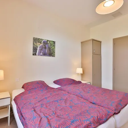 Ancien Presbytere Schweitzer Gunsbach