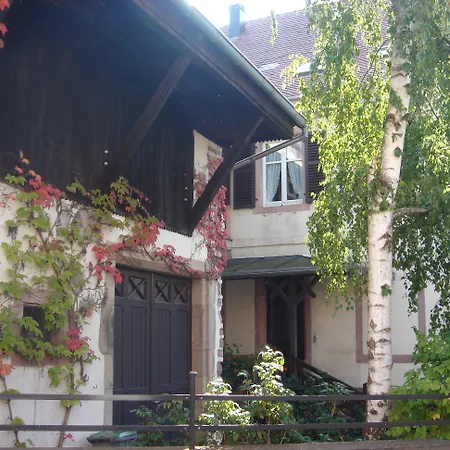 Ancien Presbytere Schweitzer Гостевой дом Gunsbach