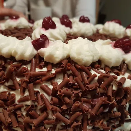 Vendégház Ancien Presbytere Schweitzer 3*